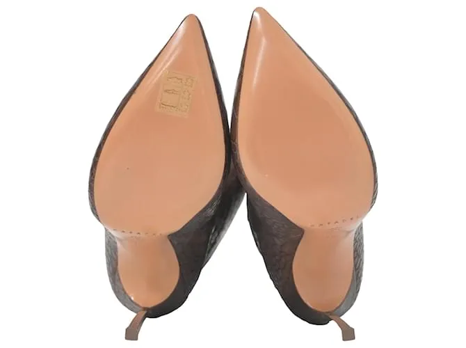 Botas altas de cuero marrón con estampado de cocodrilo Casadei Castaño 