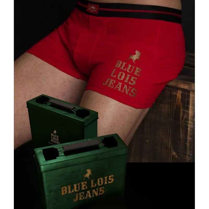Boxer LOIS 48440