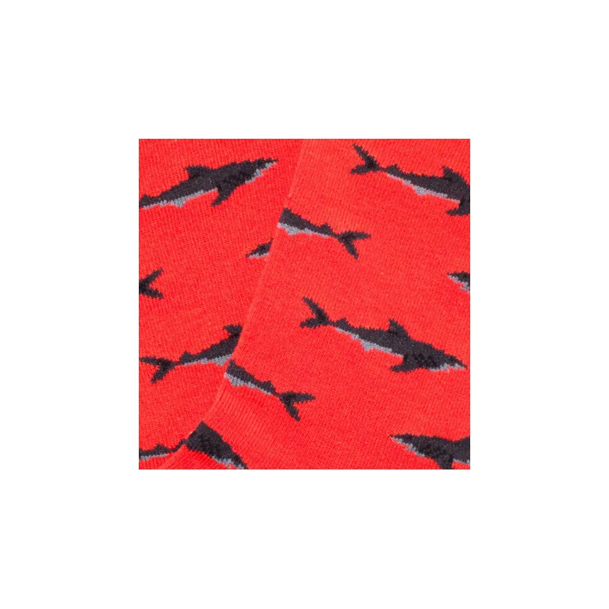 Calcetines Jimmy Lion Sharks Para Niños en Rojo 
