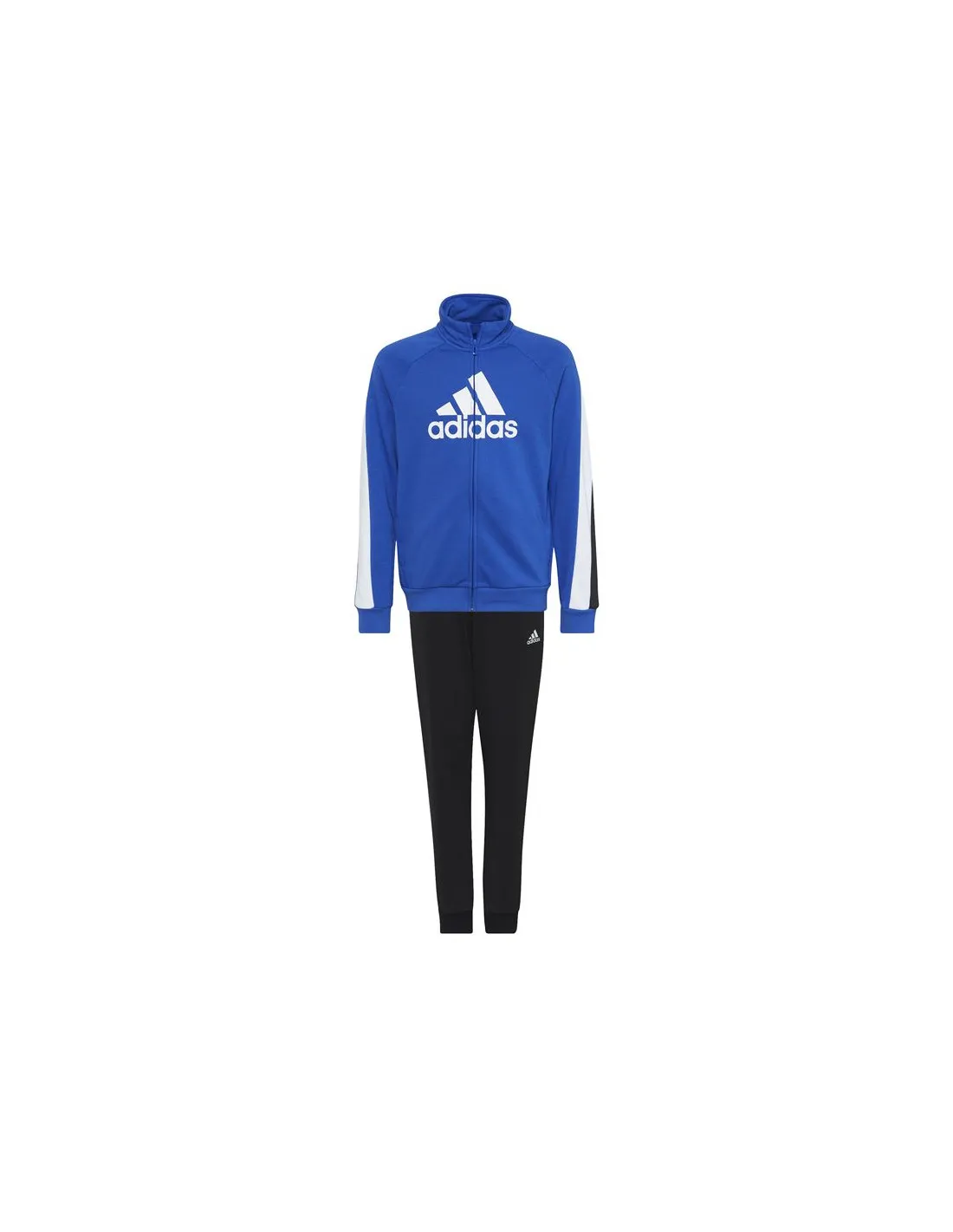 Chándal adidas Colorblock Big Badge of Sport Niño