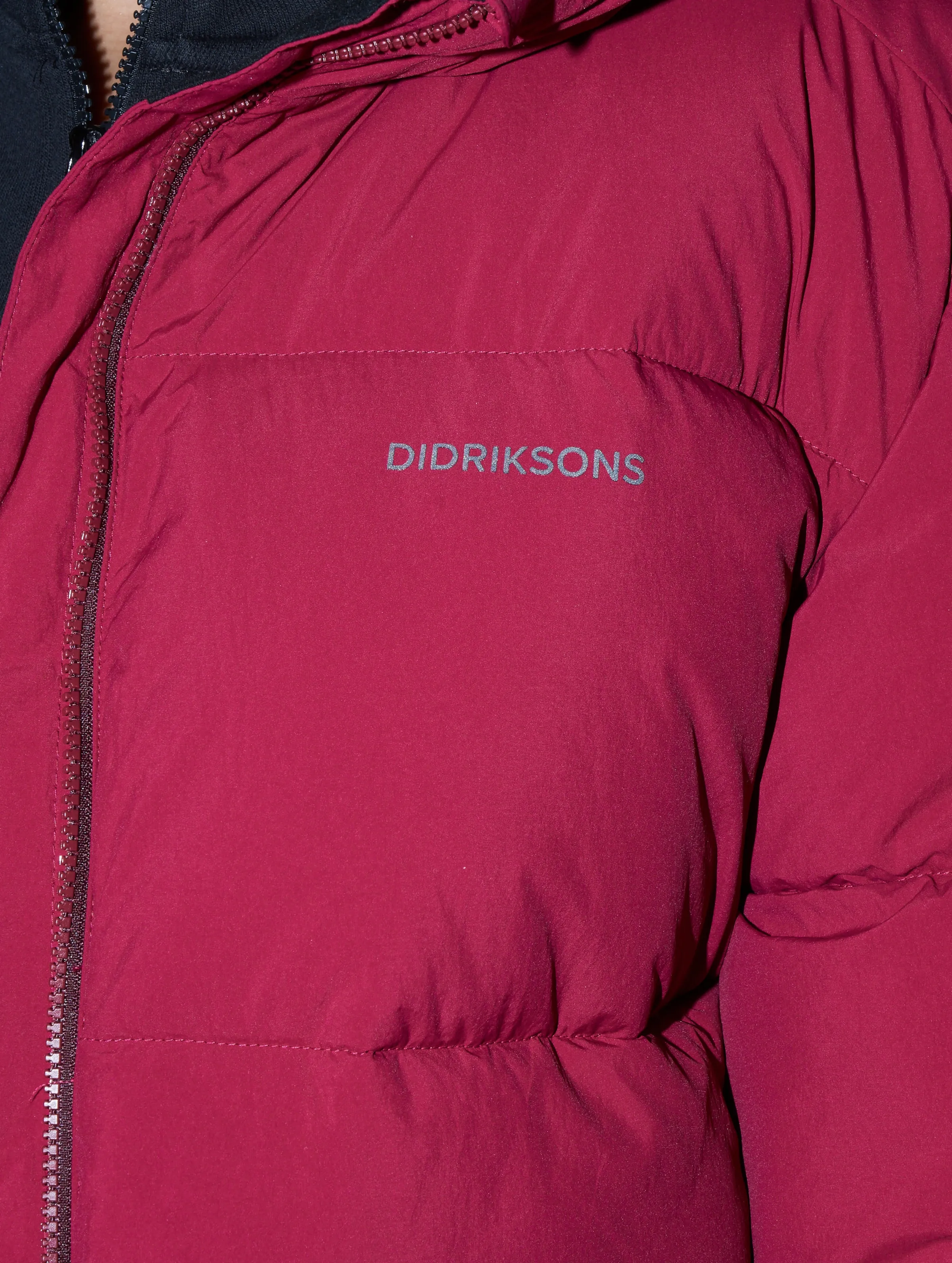 Didriksons Nomi 2