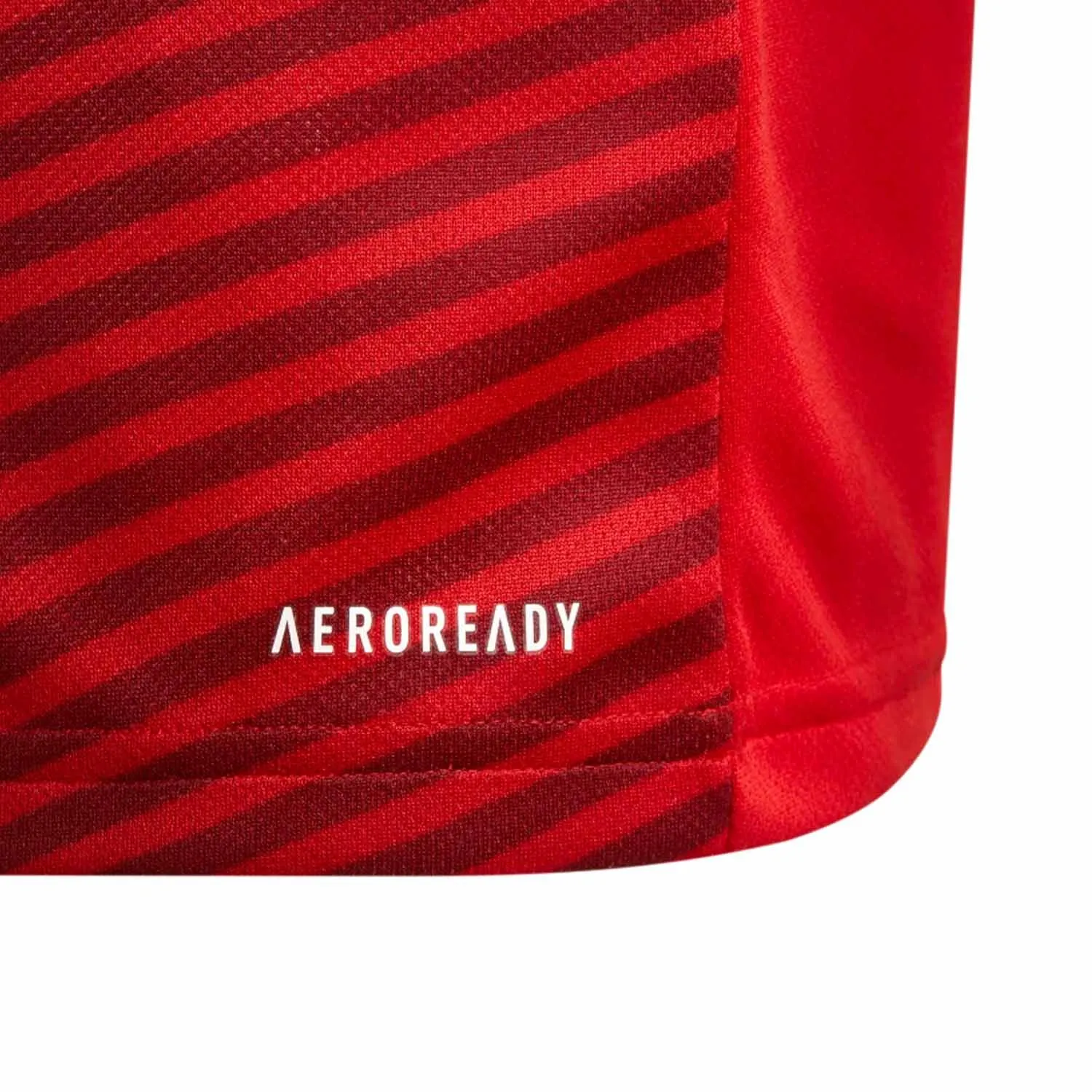 Equipación adidas Bayern niño pequeño 2021 2022