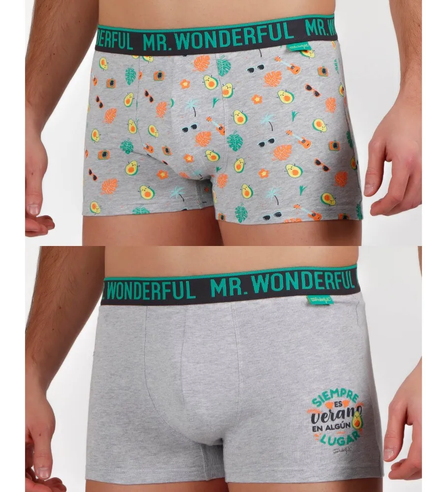 Pack 2 Boxers Siempre Verano Gris