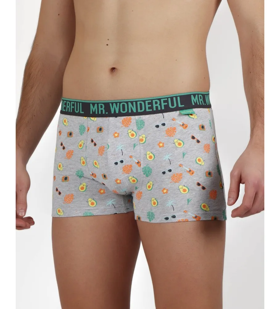 Pack 2 Boxers Siempre Verano Gris