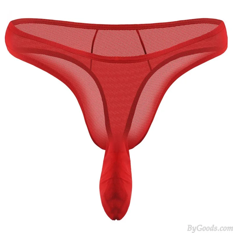 SEXY SHEER MESH PENIS ELEPHANT TRUNK THIN TBACK BRIEFS THONG UNDERWEAR SEAMLESS MEN'S LINGERIE SISSY UNDERPANTS 