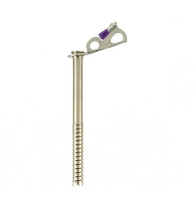 Tornillo de hielo Black Diamond Tornillo de hielo Express 22cm (gris/amarillo)
