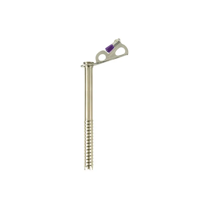 Tornillo de hielo Black Diamond Tornillo de hielo Express 22cm (gris/amarillo)